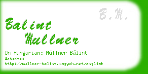 balint mullner business card