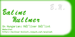 balint mullner business card